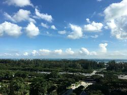 The Line @ Tanjong Rhu (D15), Condominium #496263471
